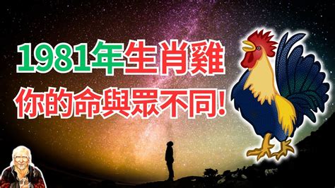 1981屬雞2024運勢|1981年属鸡人2024年全年运势详解 43岁生肖鸡2024年。